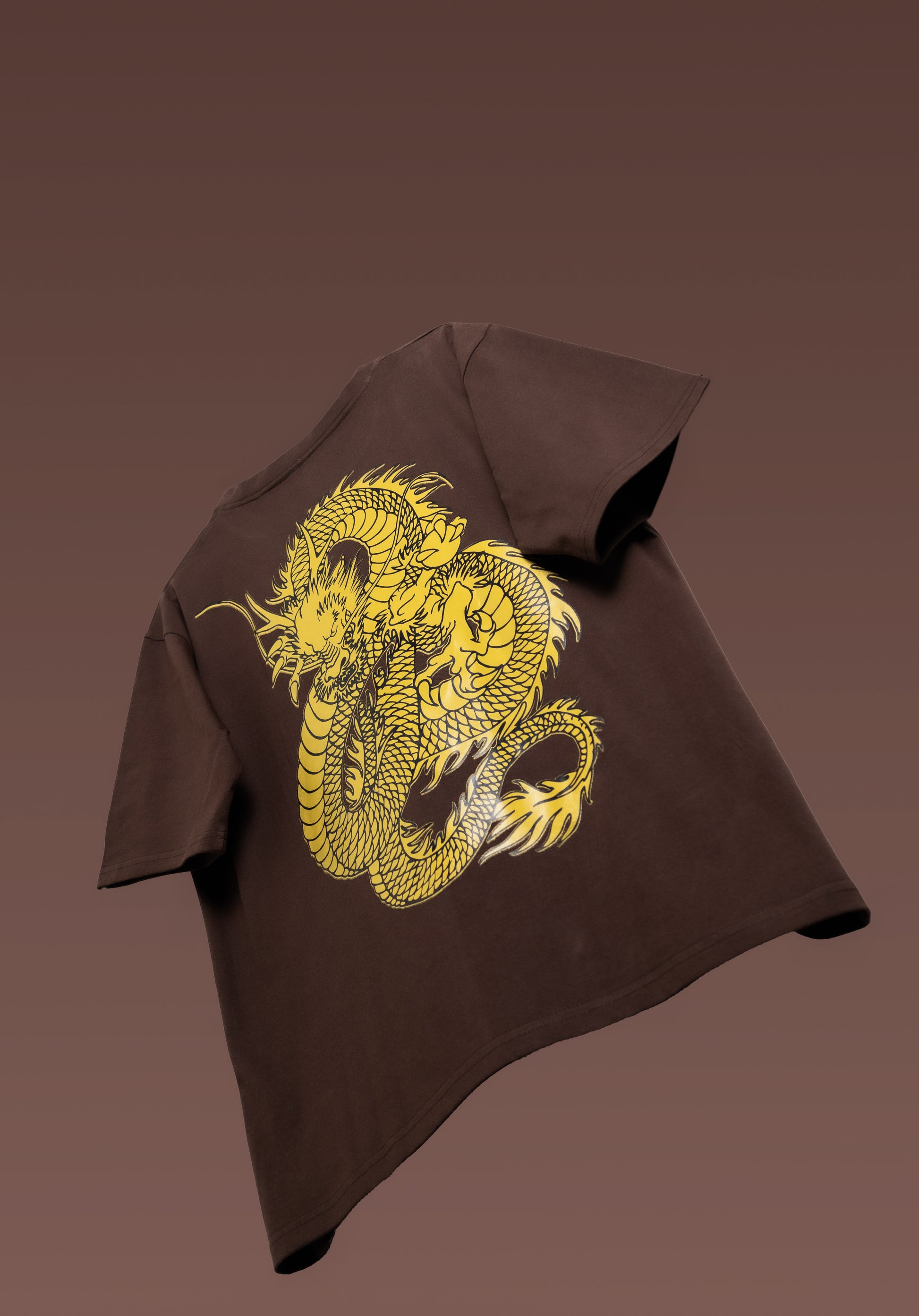 Dragon’s Might Brown Oversized T-Shirt